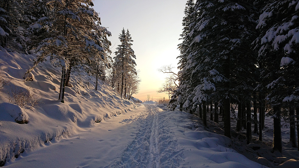On the way to Blåmansveien utsiktspunkt