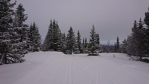 Northwest of Auenhaugen