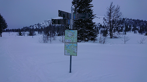 Lots of excellent signs at Golsfjellet!