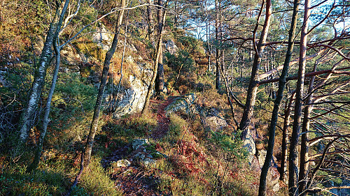 The trail towards Fagerdalsskaret