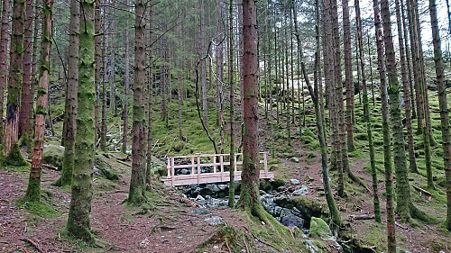The trail south of Eikestølen