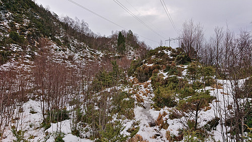 Following the ridge