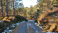 The road to Heggvik