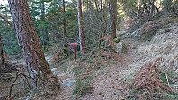 Trail marker for Særvika(?)