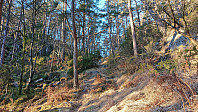 Trail to Hisdalsvatnet