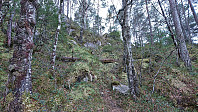 Ascending Insta Ospevikfjellet