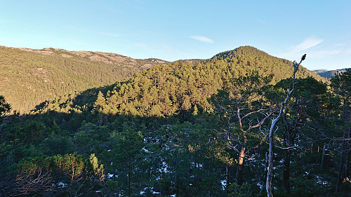 Insta Ospevikfjellet from Ytsta Ospevikfjellet. Background: Lyseskarfjellet and Stokkfjellet.