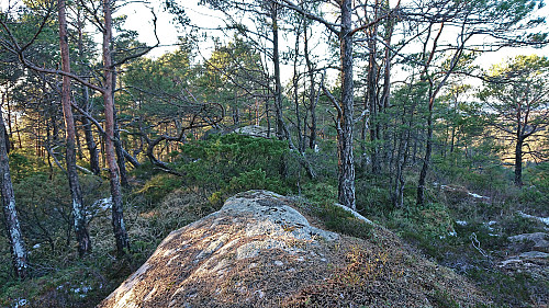 The summit of Ytsta Ospevikfjellet