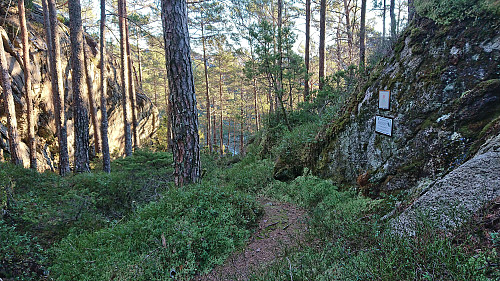 Trail towards Austneset