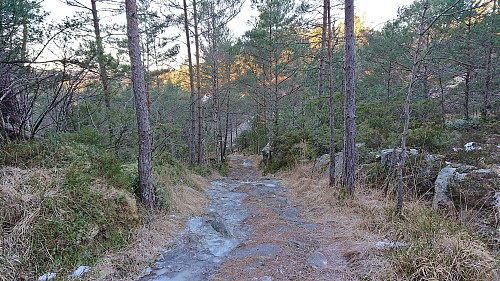Gravel road through the cabin area east of Austrevågen