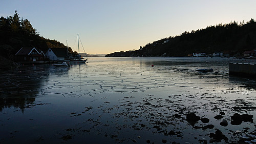 Austrevågen