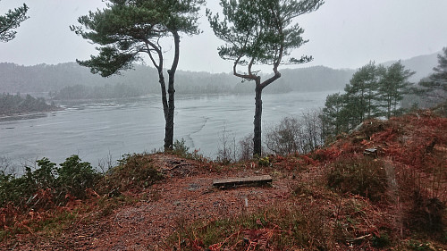 Bench and vantage point west of the houses at Hetlevikåsen