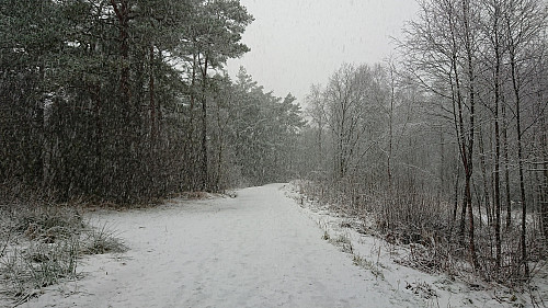 Increasingly heavy snowfall