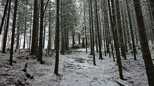 The trail to Storåsen