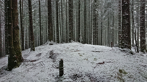 The summit of Storåsen