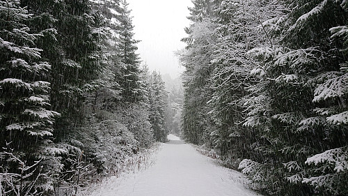Following the gravel roads towards Sauhaugen