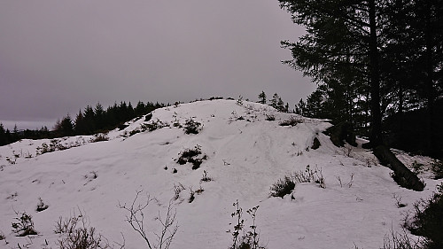 The summit of Høyde ved Janaflaten