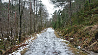 Still ice on Kismulvegen