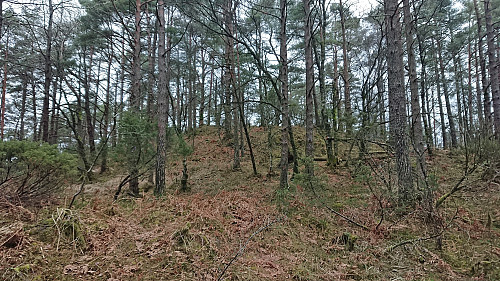 Ascending to the summit of Fuglen