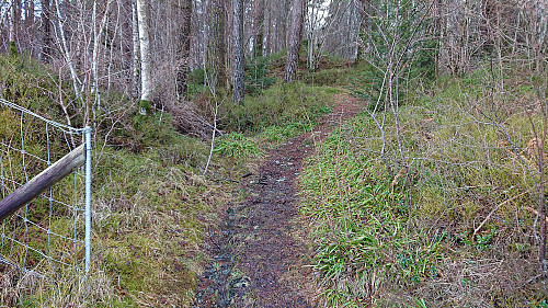 The trail to Moahagen