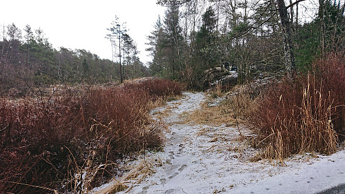 Start of the tractor road in Gandalen
