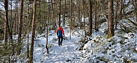 The trail to Duesundfjellet
