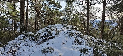 The highest point at Duesundfjellet