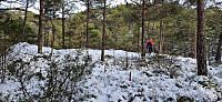 Marked trail, but wrong direction!