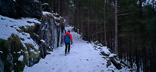 Ascending along the tractor road