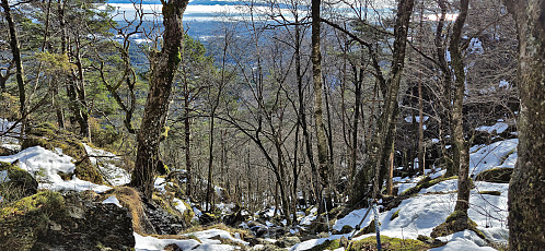 The top of Bjørnastigen