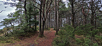 Trails at Barhaugen