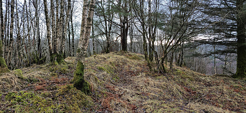 The summit of Ørnhaugen