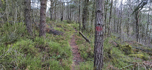 The marked trail to Toraksla