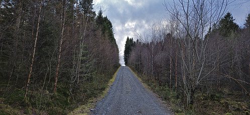 Gravel road towards Opsangerneset