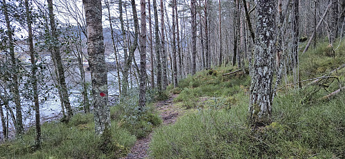 The marked trail back to Sunde båtkai