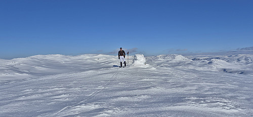 Endre at Såteggi Nord