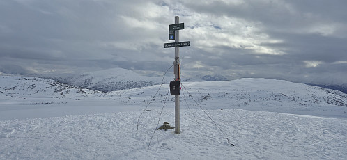 Høgehaug