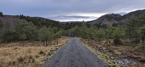 Following the gravel road towards Kampen