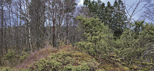 The highest point at Kampen