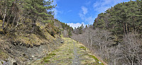 Tractor road to Vetlavatnet