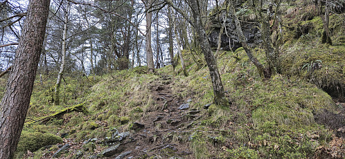Ascending to Olsokfjellet