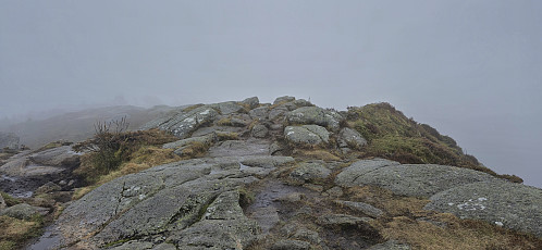 The highest point at Damsgårdsfjellet