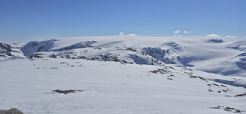 Nordre Folgefonna from Steinafjell