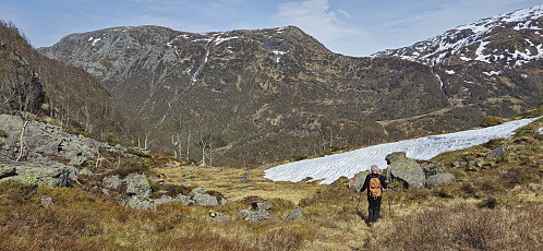 Petter descending to Aterstadvatnet with Kvannto in the background left
