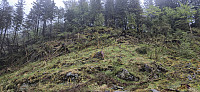 Off-trail to Gaukavarden