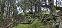 Off-trail to Gaukavarden