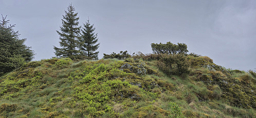 Gaukavarden