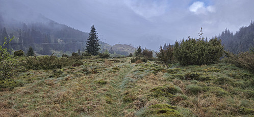 The trail from Gaukavarden turning into a tractor road