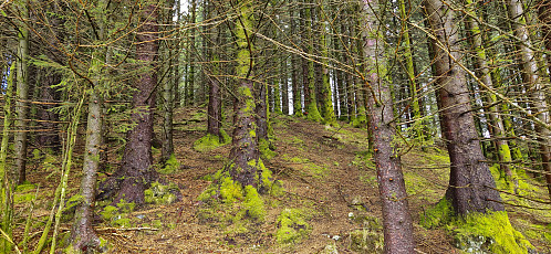 Ascending Hinderåsen