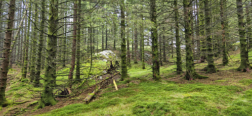 Approaching the summit of Hinderåsen